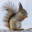 Dom.nesk71.ru